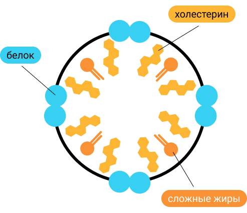 Описание изображения